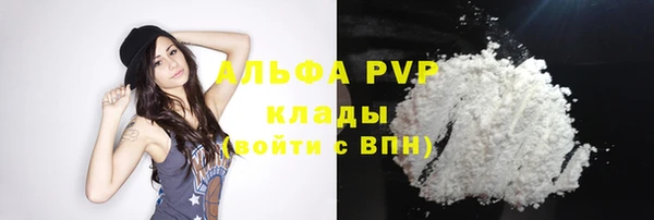 дживик Майский