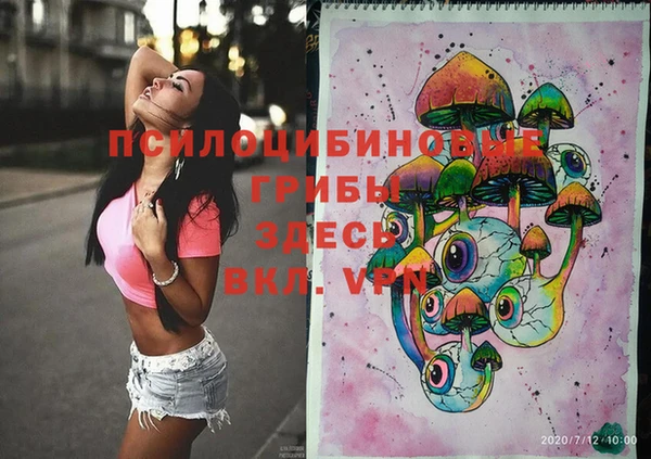 дживик Майский