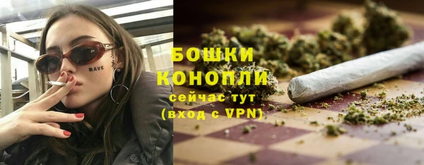 дживик Майский